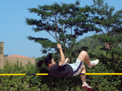 2008118-93407.jpg 2008118-93407.jpg