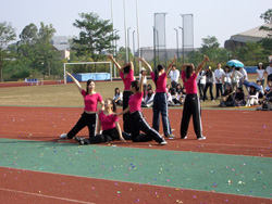 2008118-95847.jpg 2008118-95847.jpg