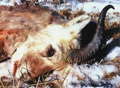 20070924-01003.jpg 20070924-01003.jpg