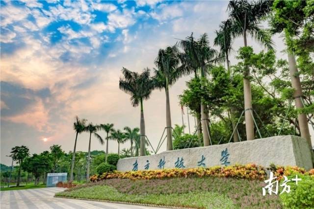 南方科技大学。