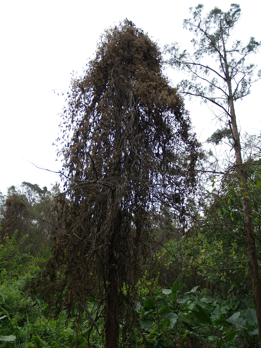 20090227-22.jpg 20090227-22.jpg