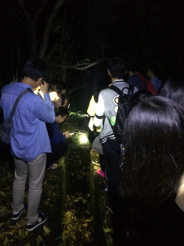 edc dinghushan 20160510 4