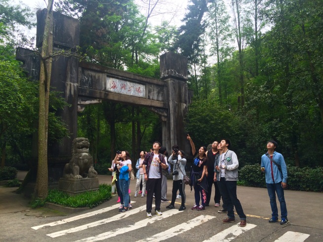 edc dinghushan 20160510 3 4