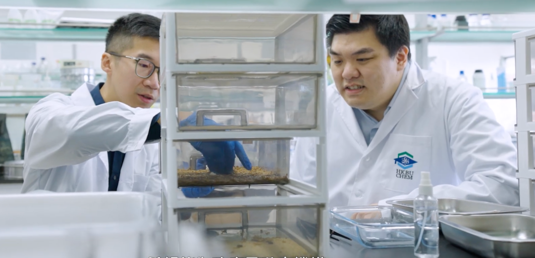 微信图片_2026-04-15_185412_128